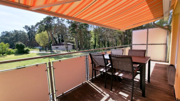 20250429_143224 Sturmvogel 112