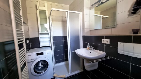 20250429_152606 Sturmvogel 112