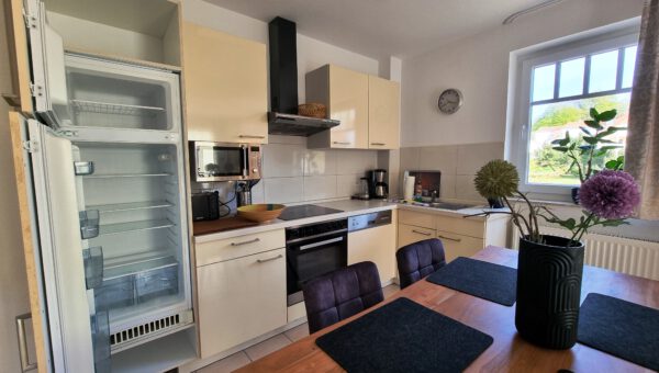 20250429_154231 Kormoran 113