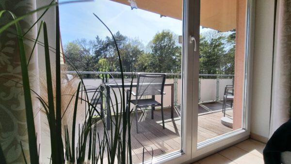 20250429_154421 Kormoran 113