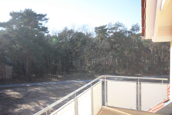 IMG_0873 Seeadler 123