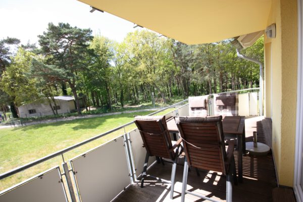 IMG_7436 Kormoran 113