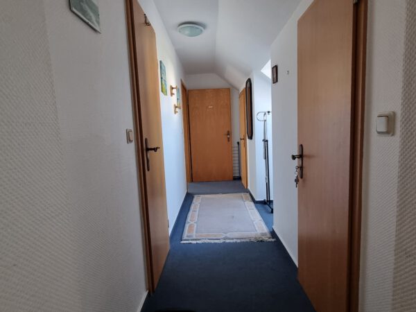 Wollin 3